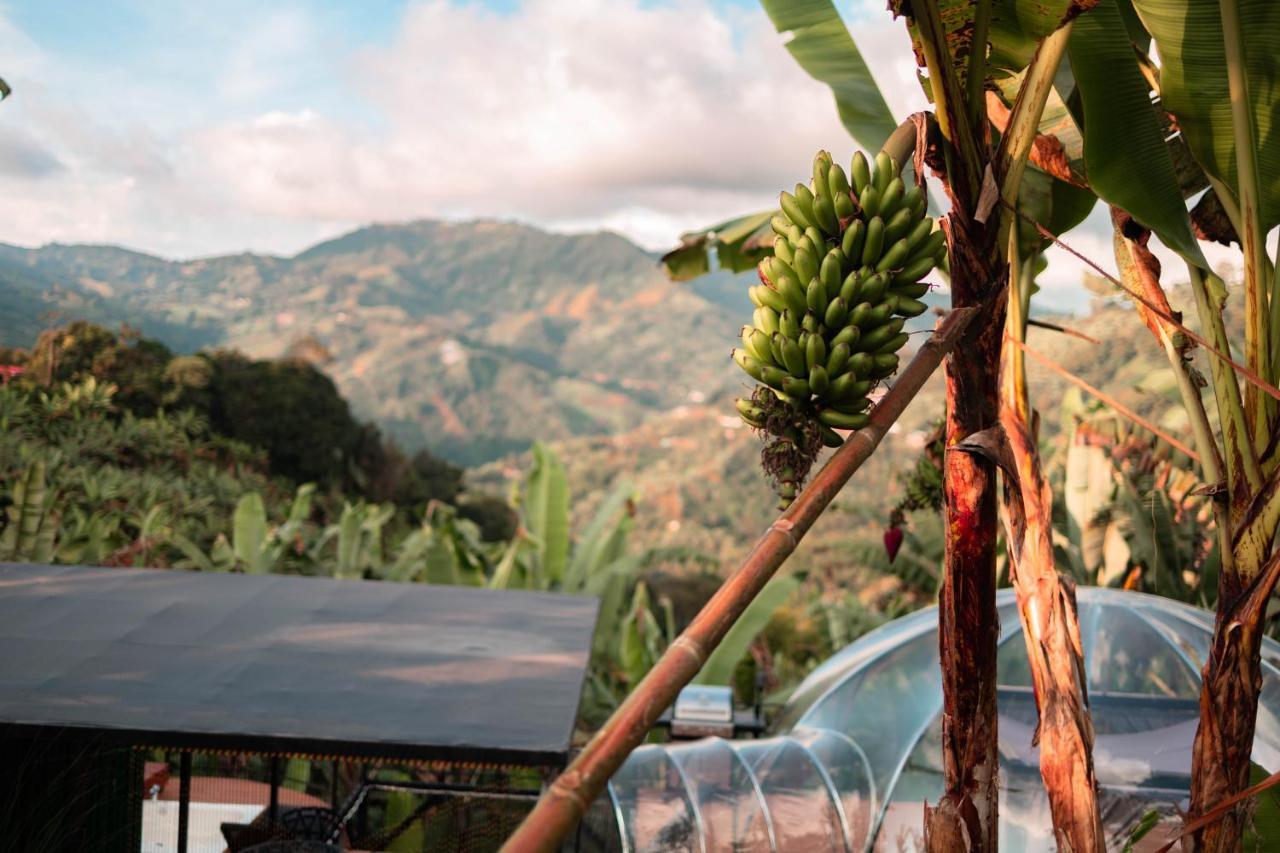 Chami Glamping Villa Manizales Buitenkant foto