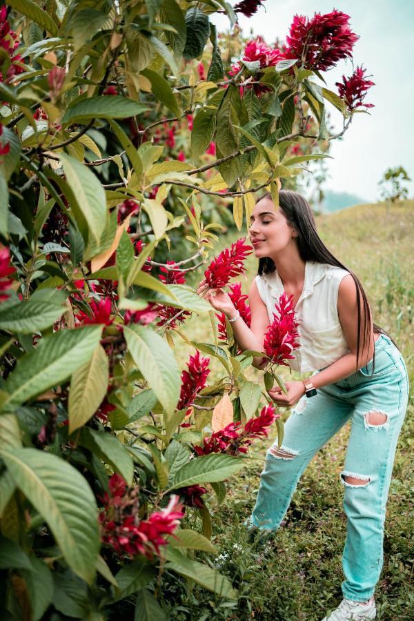 Chami Glamping Villa Manizales Buitenkant foto