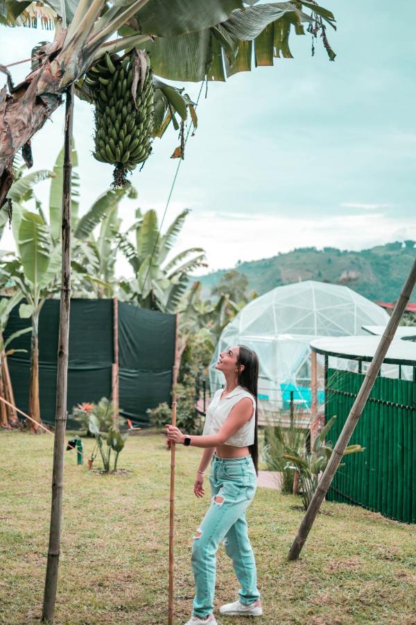 Chami Glamping Villa Manizales Buitenkant foto