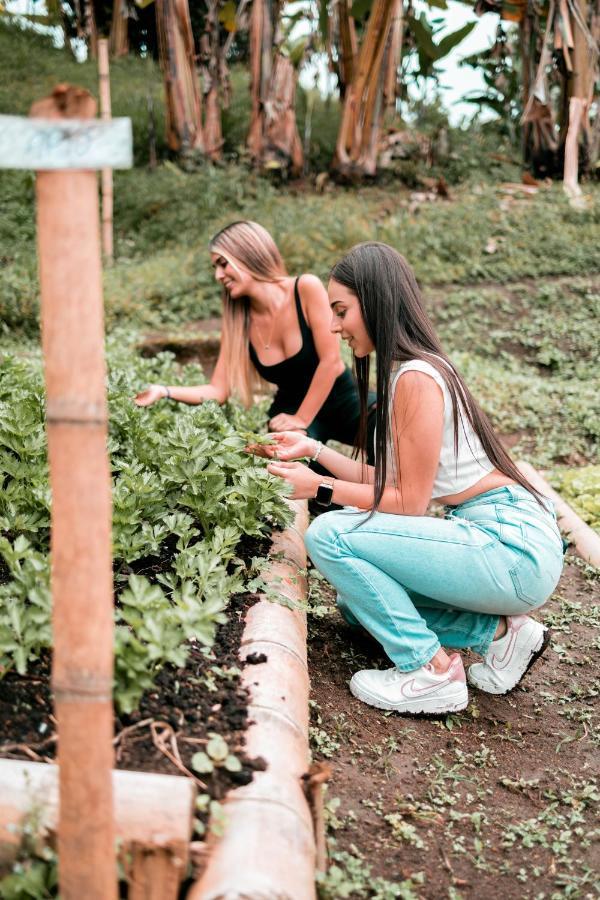 Chami Glamping Villa Manizales Buitenkant foto