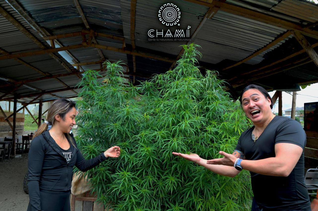Chami Glamping Villa Manizales Buitenkant foto
