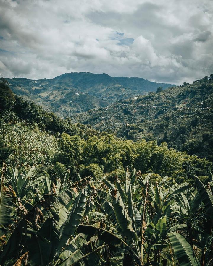 Chami Glamping Villa Manizales Buitenkant foto