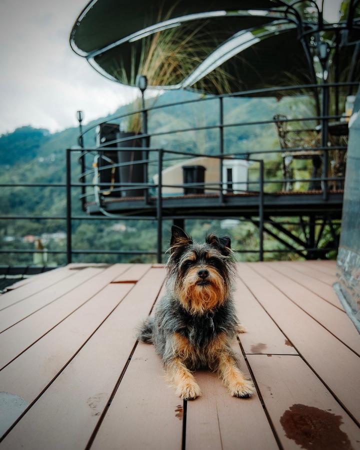 Chami Glamping Villa Manizales Buitenkant foto