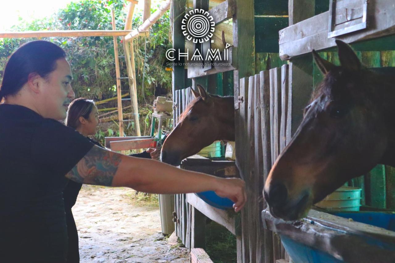 Chami Glamping Villa Manizales Buitenkant foto